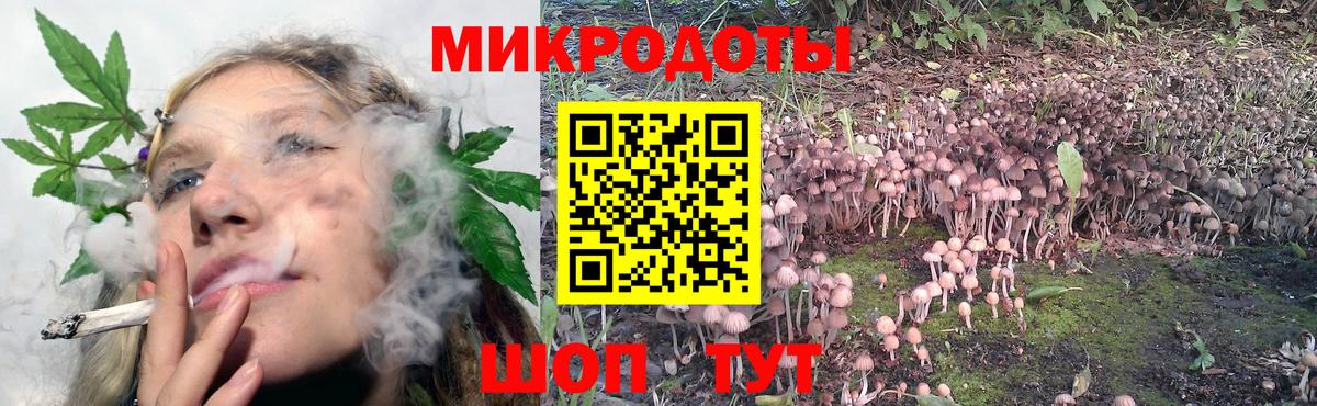 Галлюциногенные грибы прущие грибы Славянск-на-Кубани