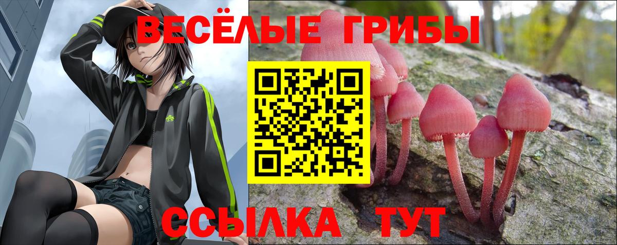 Псилоцибиновые грибы прущие грибы  Галлюциногенные грибы MAGIC MUSHROOMS  Славянск-на-Кубани  Вход с VPN 